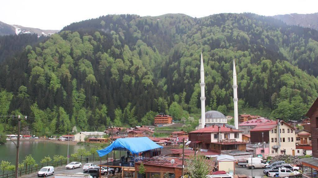 Kusva Apart Uzungol Exterior foto